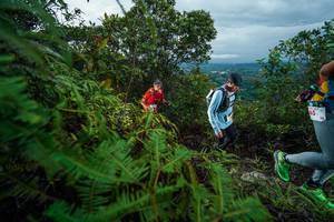 BIB: 
                            <button type="button" onclick="openModal(26196698)" class="btn btn-primary btn-sm float-right btn-popup" data-toggle="modal" data-target=".modal-high-quality">
                        <i class="fas fa-shopping-cart"></i> Add to Cart
                    </button>
                                            <button type="button" onclick="isThisMe(26196698, true)" class="btn btn-success btn-sm float-right btn-popup btn-isme hidden" data-toggle="tooltip" data-placement="bottom" title="นี่คือรูปของคุณใช่ไหม คลิกที่นี่เพื่อเอาเข้าอัลบั้ม">
                        <i class="fas fa-plus"></i> Add to album
                    </button>
                    <button type="button" onclick="isThisMe(26196698, false)" class="btn btn-warning btn-sm float-right btn-popup btn-isnotme hidden">
                        <i class="fas fa-ban"></i> Remove from album
                    </button>